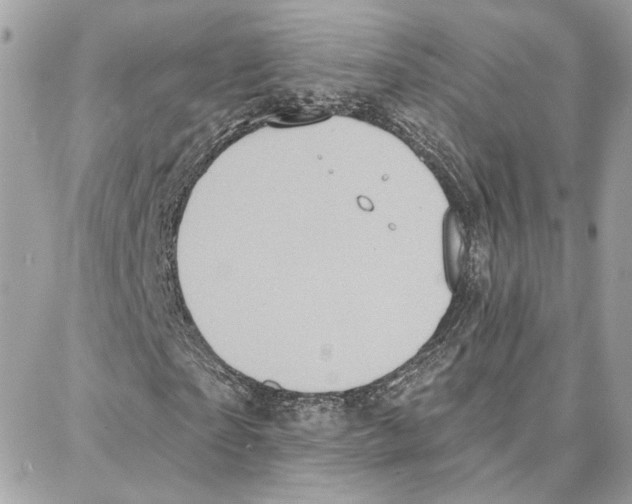 X0000087740865200706041034