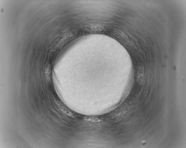 X0000087740866200706041034