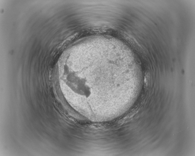 X0000087740867200706041034