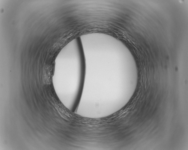 X0000087740868200706041034