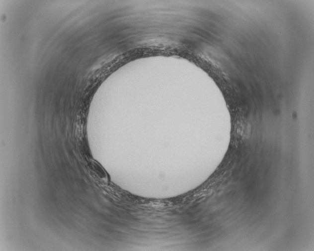 X0000087740869200706041034