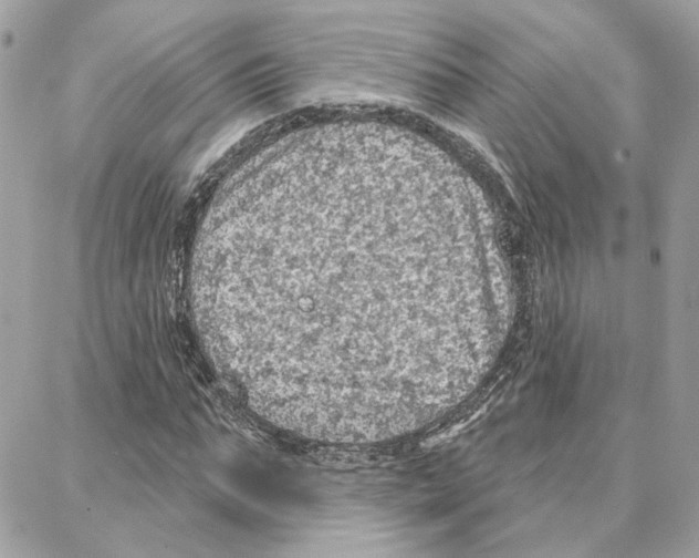 X0000087740871200706041034