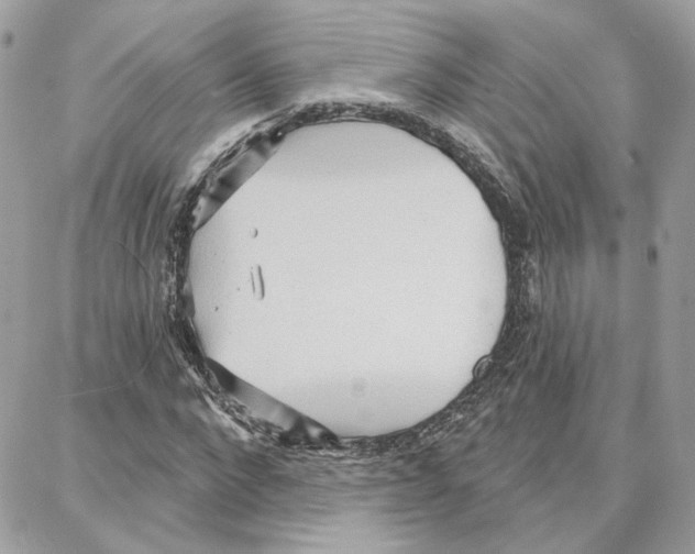 X0000087740872200706041034