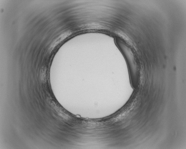 X0000087740873200706041034