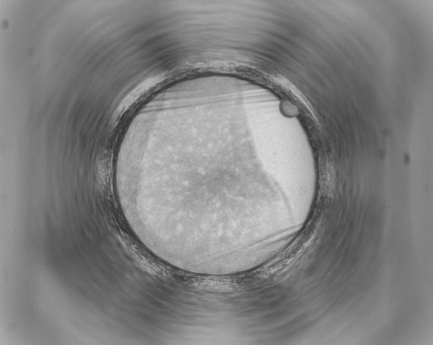 X0000087740874200706041034