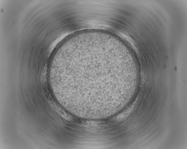 X0000087740875200706041034