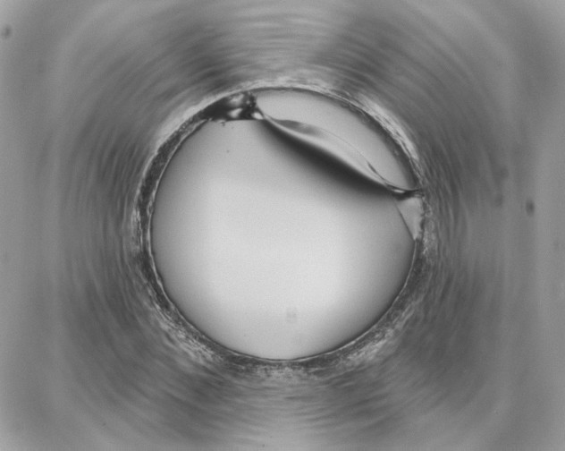 X0000087740876200706041034