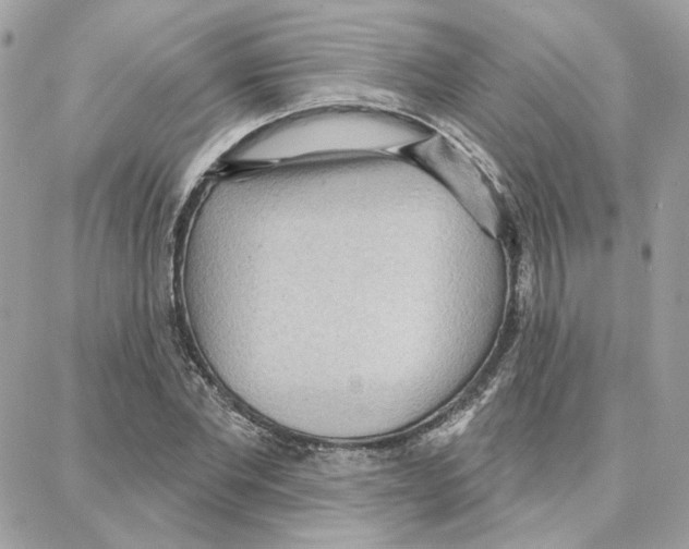 X0000087740877200706041034