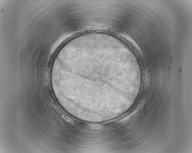 X0000087740878200706041034