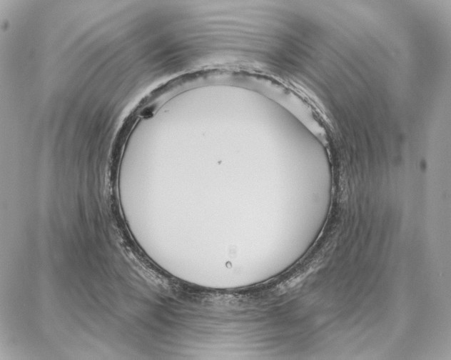 X0000087740880200706041034