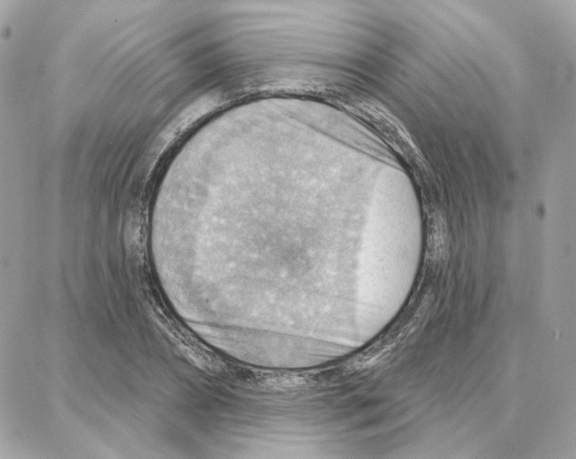 X0000087740882200706041034