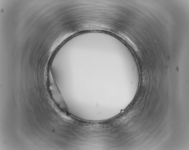 X0000087740885200706041034