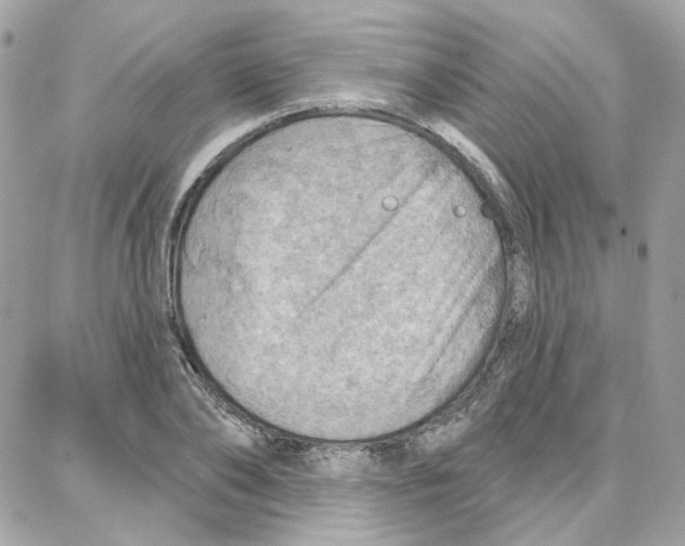 X0000087740886200706041034