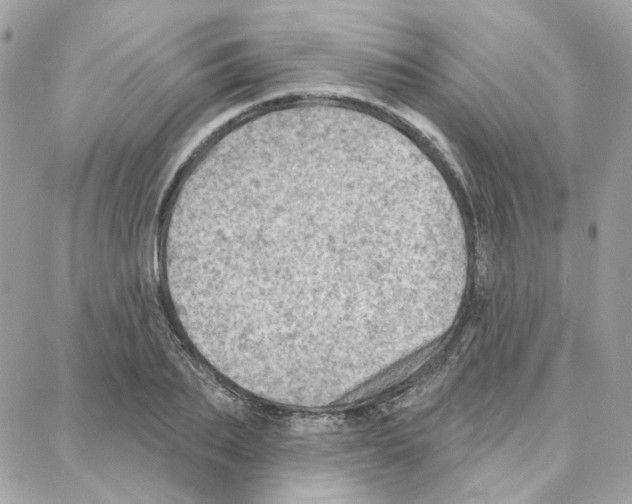 X0000087740887200706041034