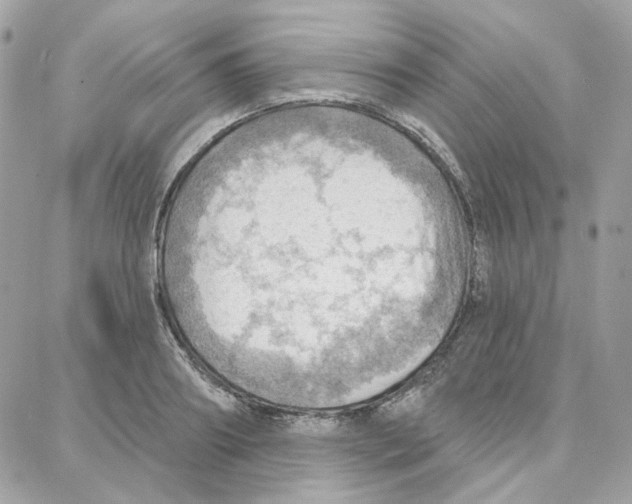 X0000087740890200706041034