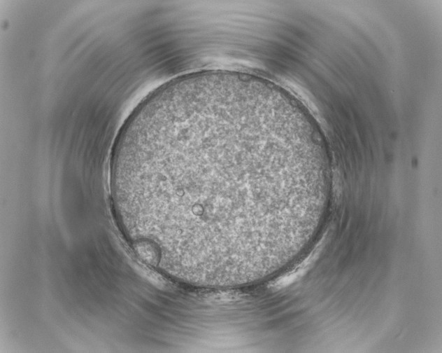 X0000087740891200706041034