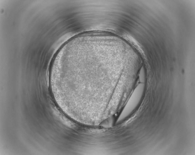 X0000087740892200706041034