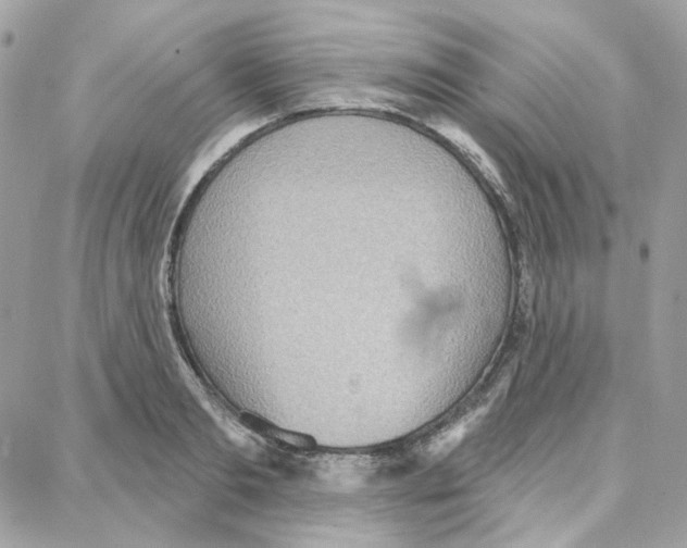 X0000087740893200706041034