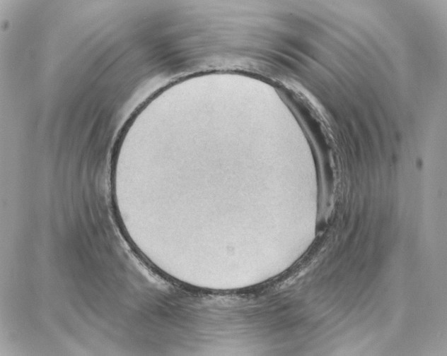 X0000087740894200706041034