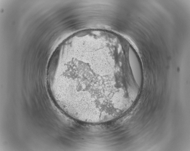 X0000087740895200706041034