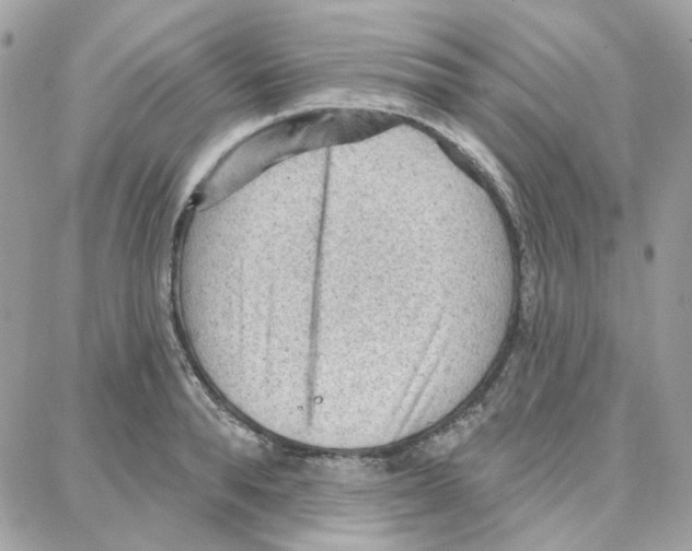 X0000087740896200706041034