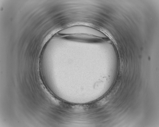 X0000087740898200706041034