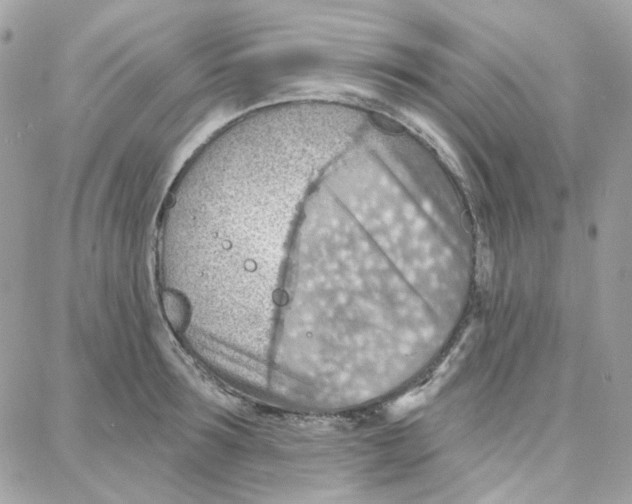 X0000087740899200706041034