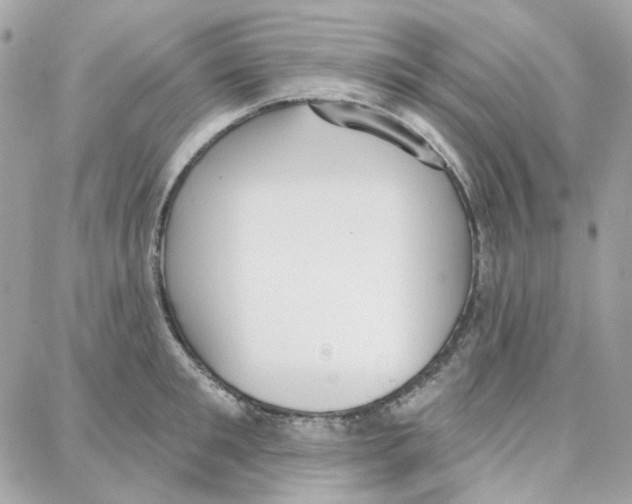 X0000087740901200706041034