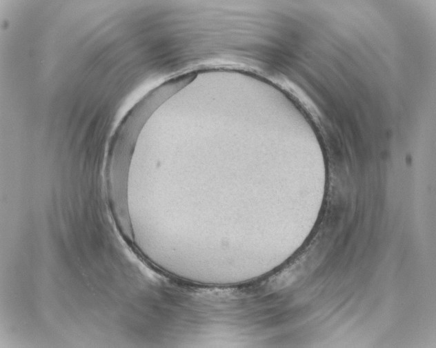 X0000087740902200706041034