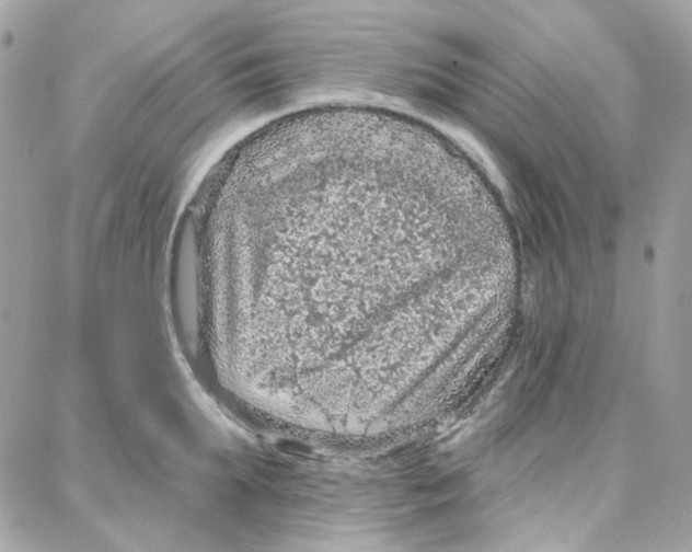 X0000087740903200706041034