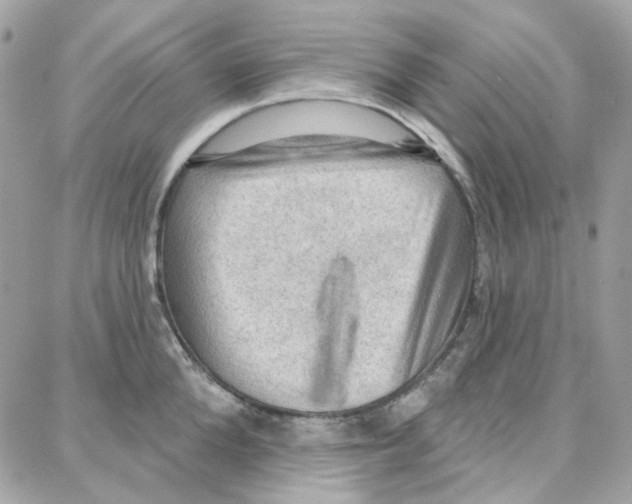 X0000087740904200706041034