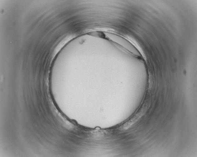 X0000087740906200706041034