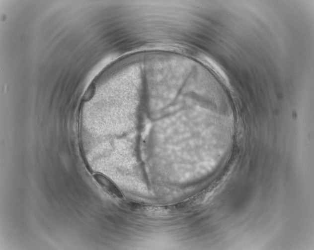 X0000087740907200706041033