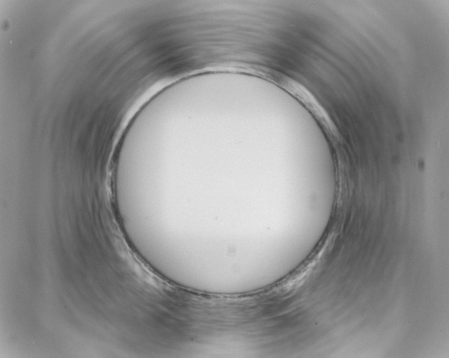 X0000087740908200706041033