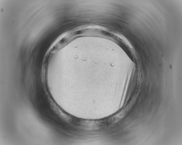 X0000087740910200706041033