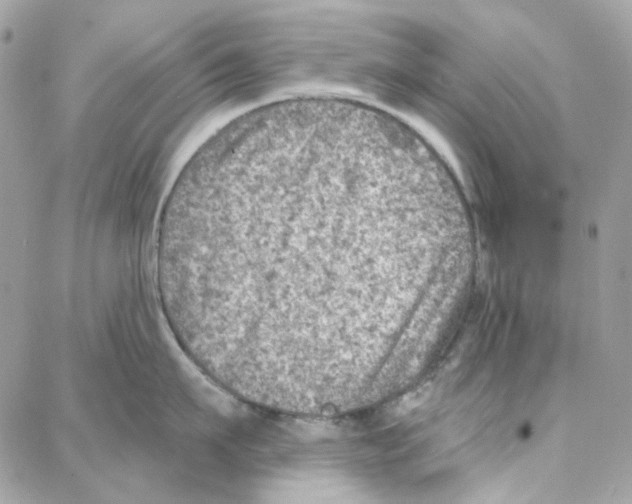 X0000087740911200706041033