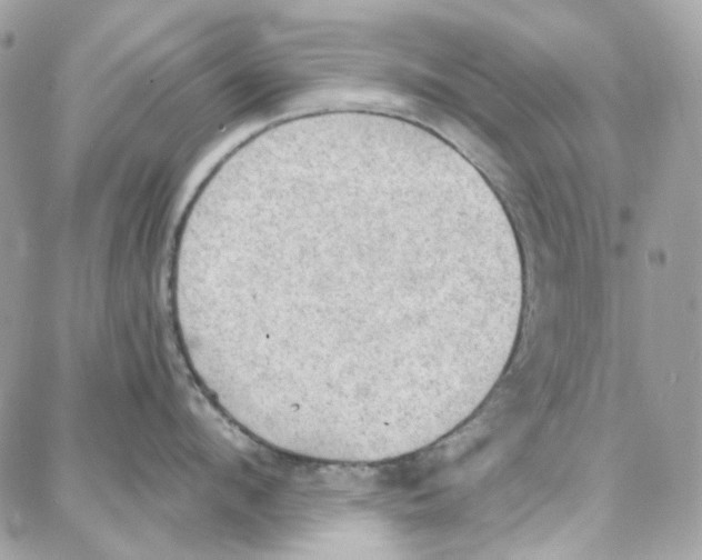 X0000087740912200706041033