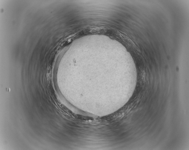 X0000087740914200706041033