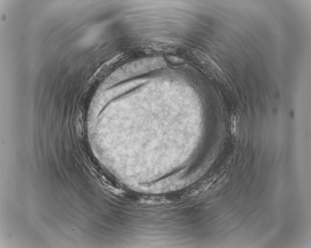 X0000087740915200706041033