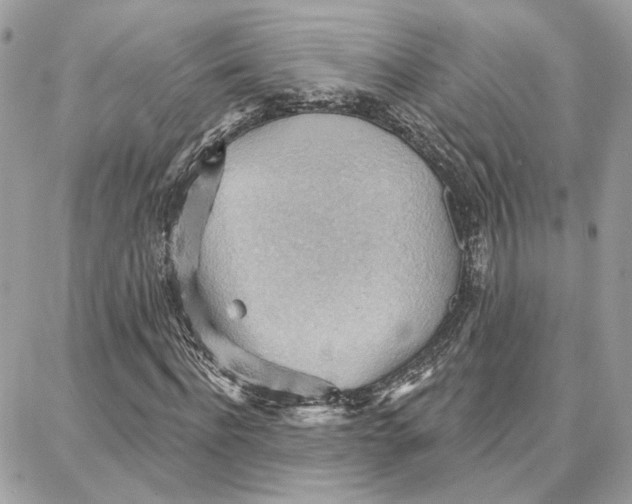 X0000087740916200706041033