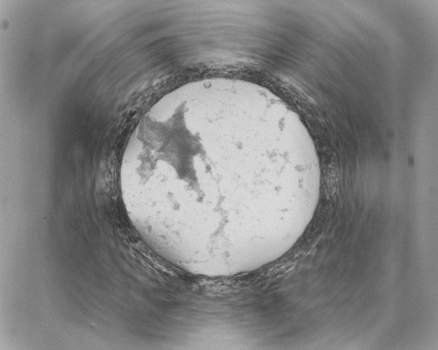 X0000087740917200706041033