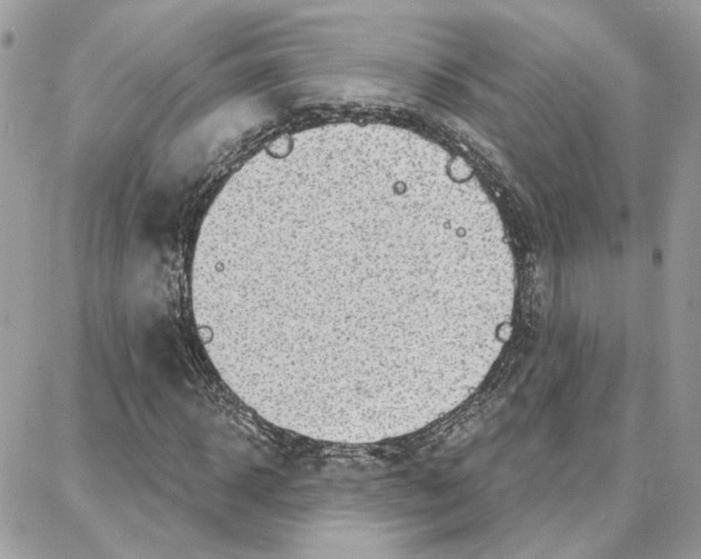 X0000087740918200706041033