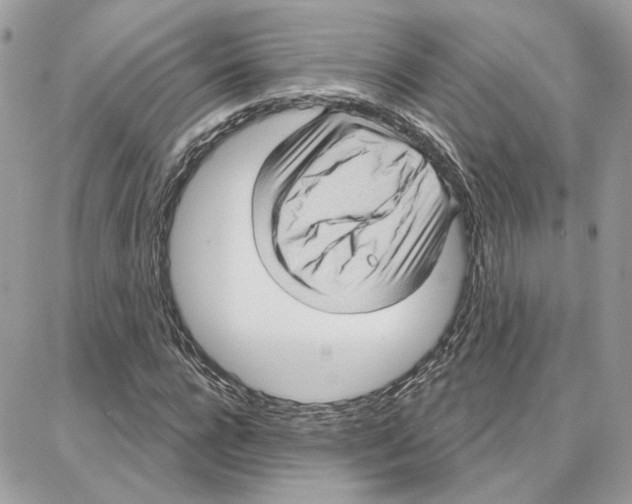 X0000087740920200706041033