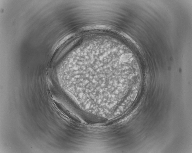 X0000087740921200706041033