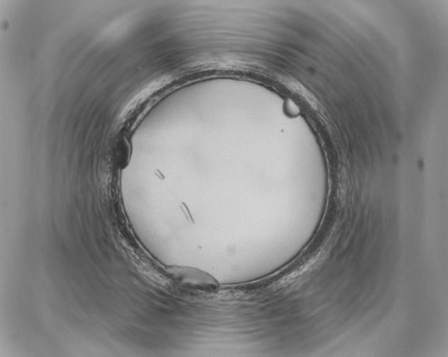 X0000087740922200706041033