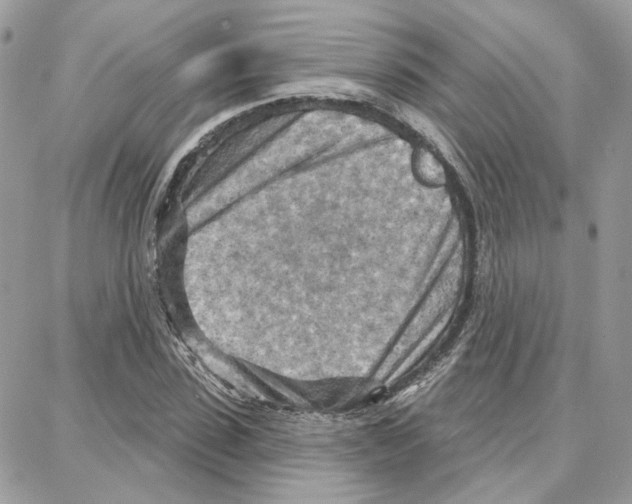 X0000087740923200706041033