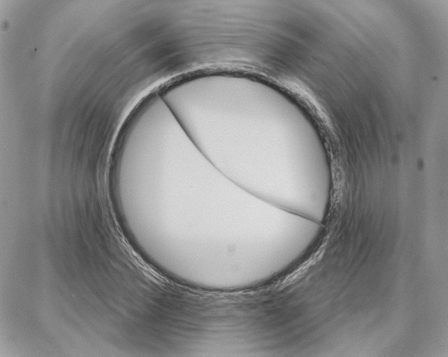 X0000087740924200706041033