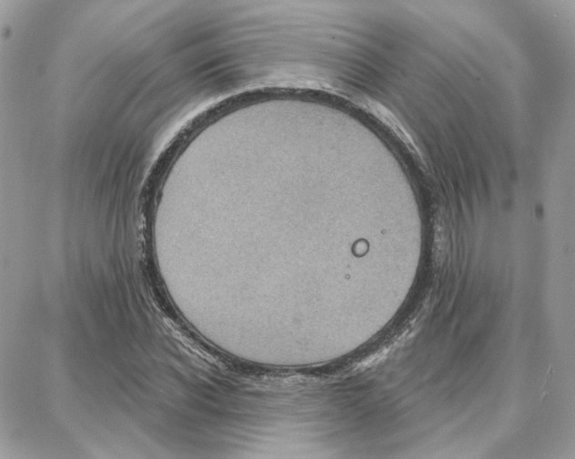 X0000087740926200706041033