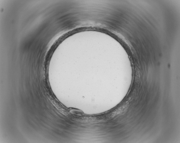 X0000087740927200706041033