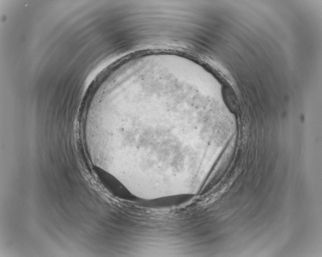 X0000087740928200706041033